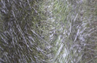 Curland Common fibreglass roof work